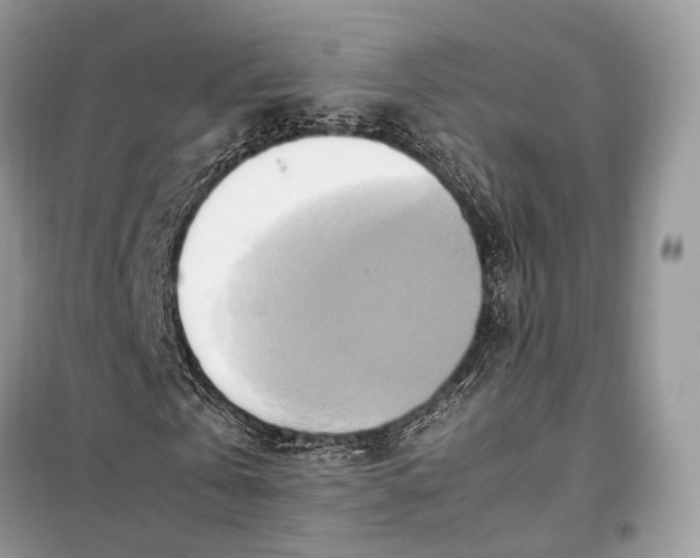 X0000099230769200805081556