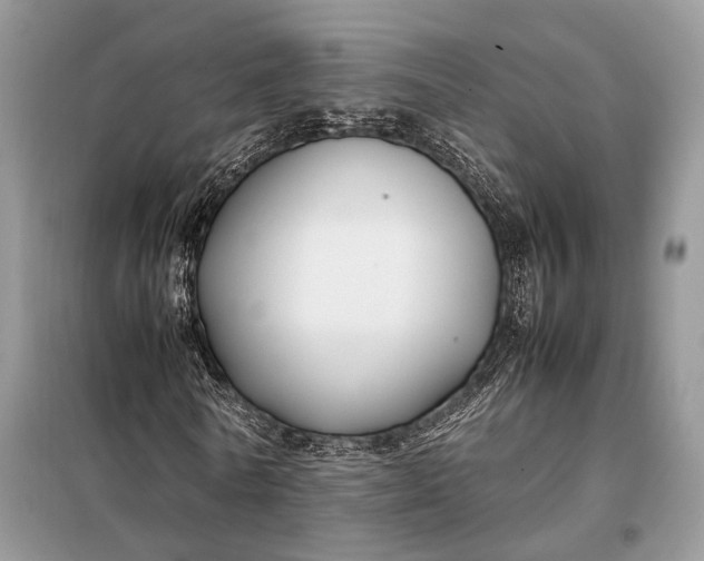 X0000099230770200805081556