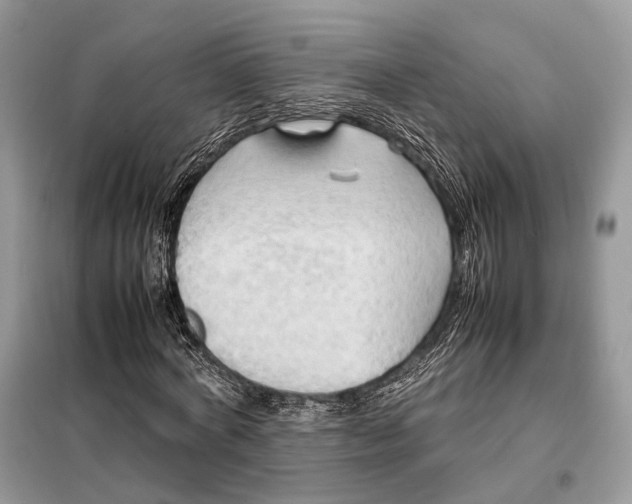 X0000099230772200805081556