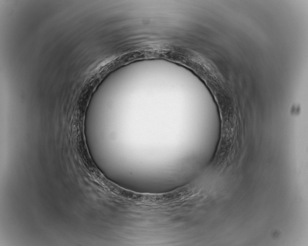 X0000099230773200805081556