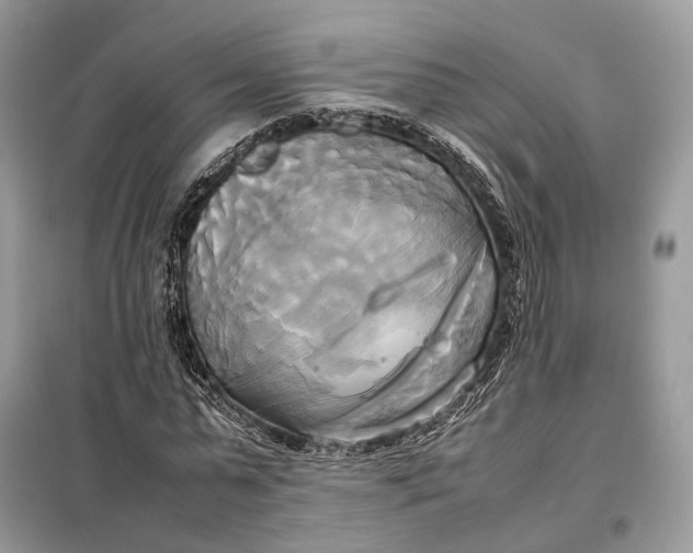 X0000099230775200805081556