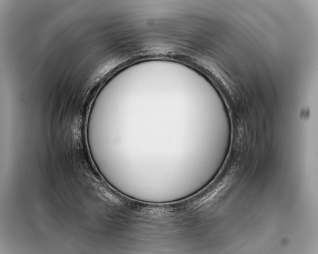 X0000099230778200805081556