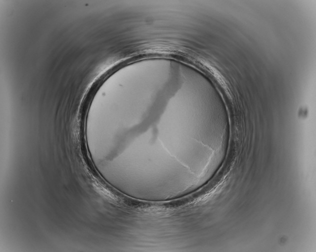 X0000099230779200805081556