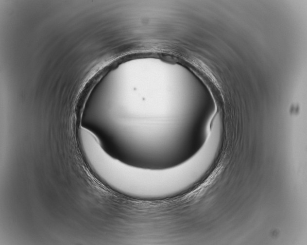 X0000099230781200805081556