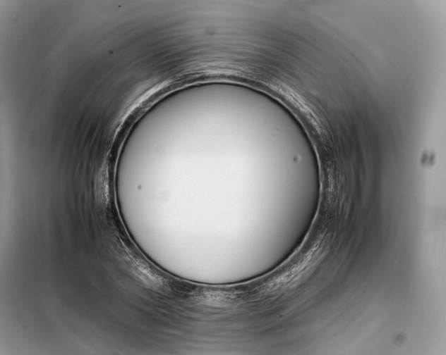 X0000099230782200805081556