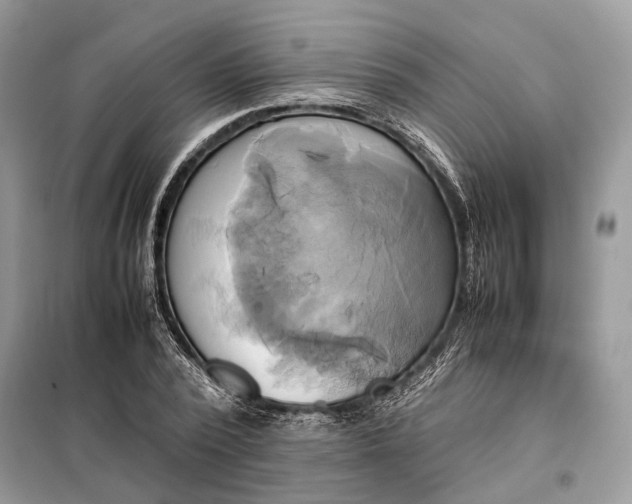 X0000099230784200805081556