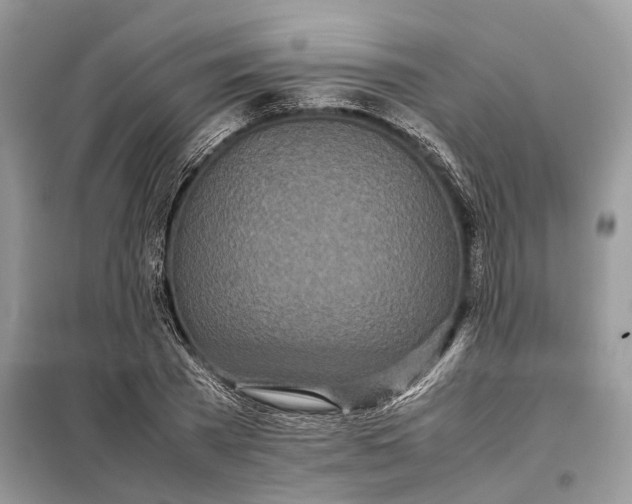 X0000099230785200805081556