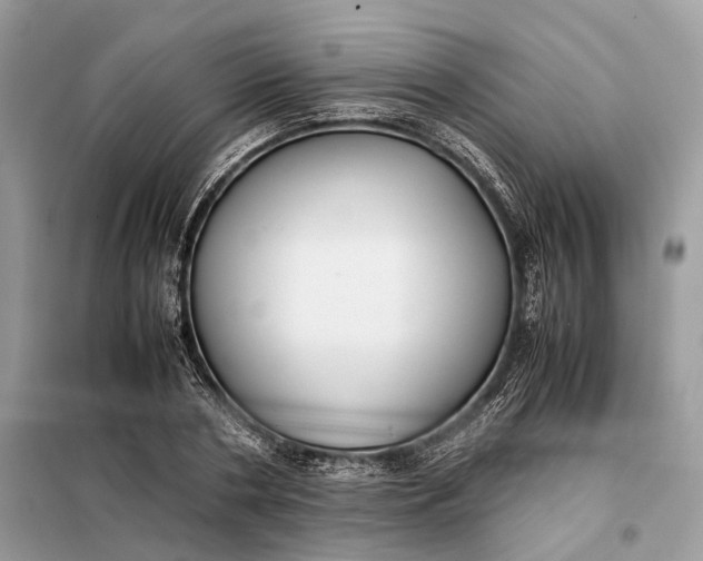 X0000099230786200805081556