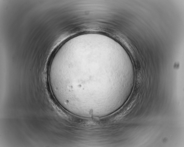 X0000099230787200805081556