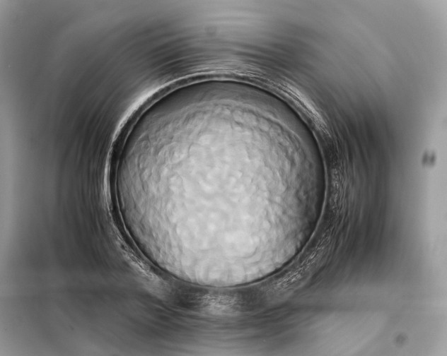 X0000099230788200805081556