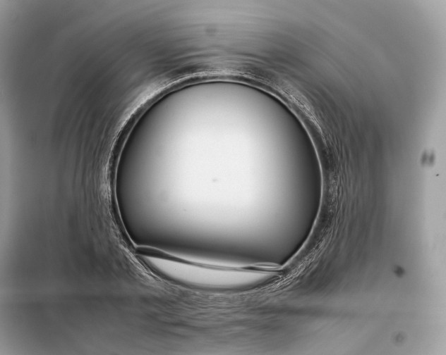 X0000099230789200805081556