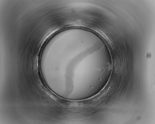 X0000099230790200805081556