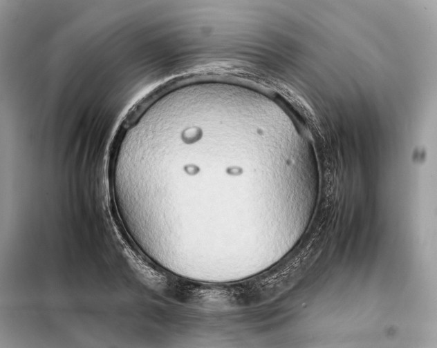 X0000099230792200805081556