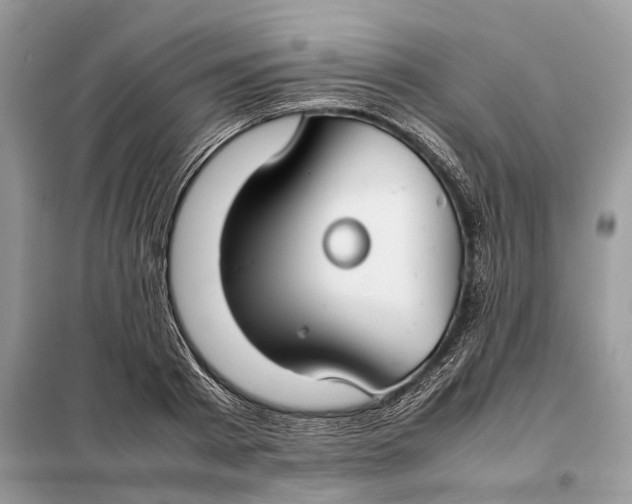 X0000099230793200805081556