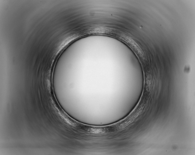 X0000099230794200805081556