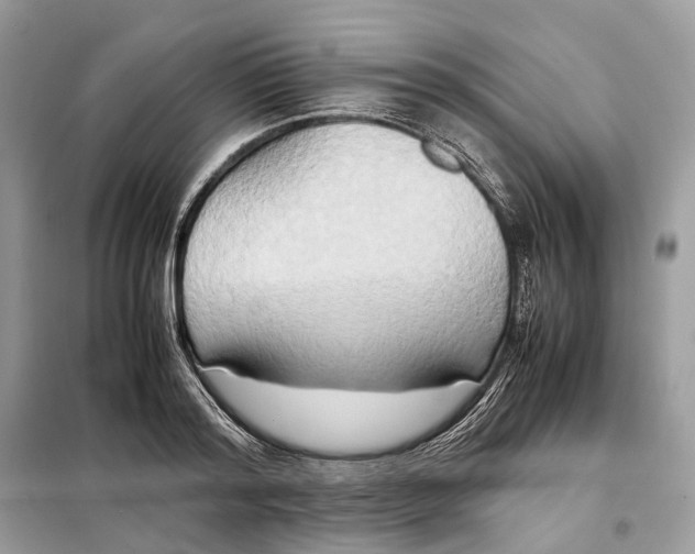 X0000099230796200805081556