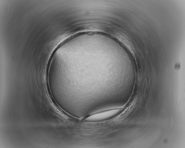 X0000099230797200805081556