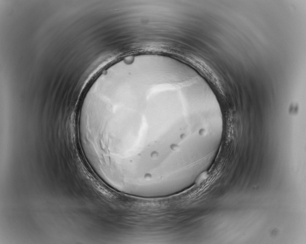 X0000099230798200805081556