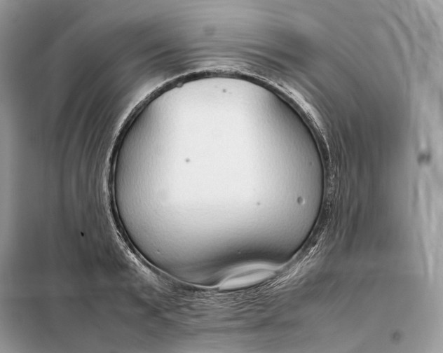 X0000099230799200805081556