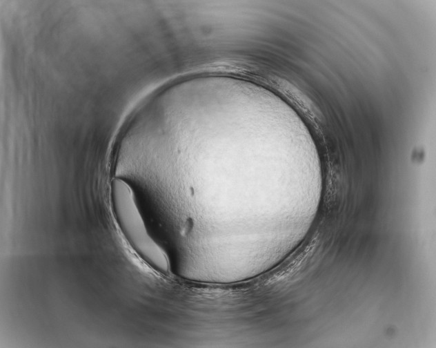 X0000099230800200805081556