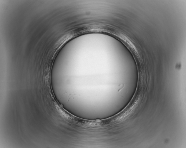 X0000099230801200805081556