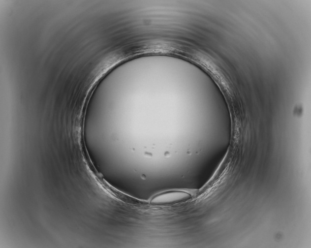 X0000099230802200805081556