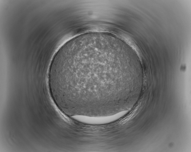 X0000099230803200805081556