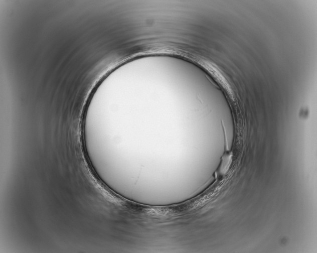 X0000099230805200805081556