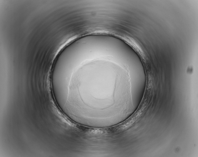 X0000099230806200805081556