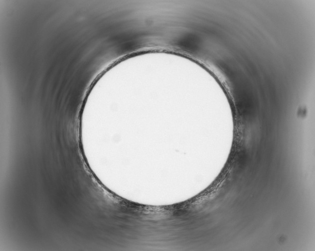 X0000099230807200805081556