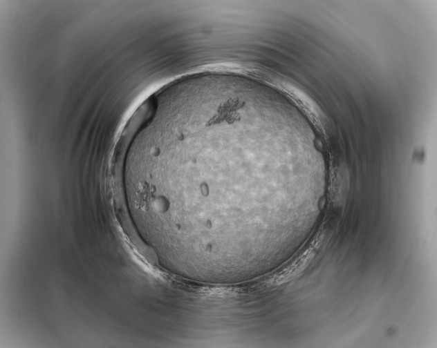 X0000099230808200805081556