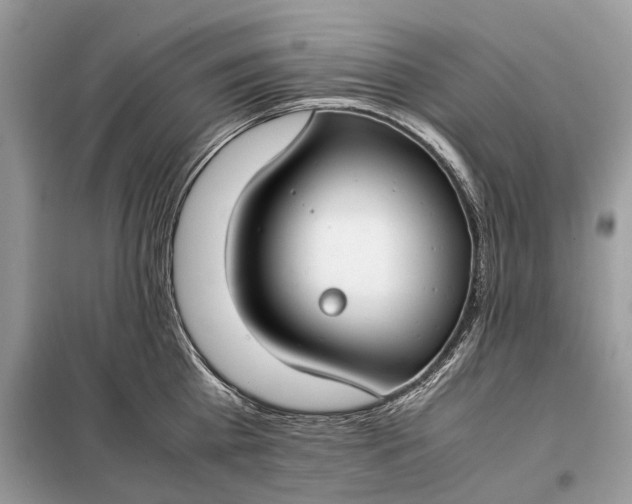 X0000099230809200805081556