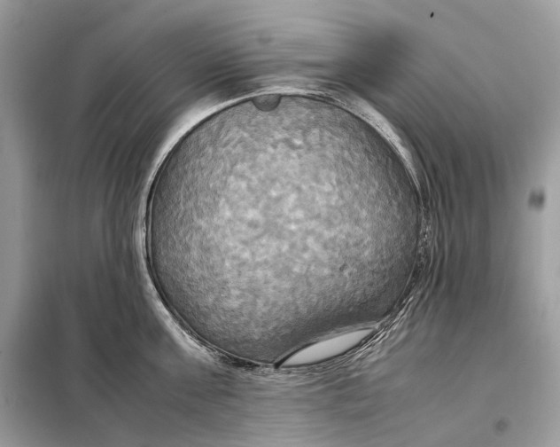 X0000099230811200805081556