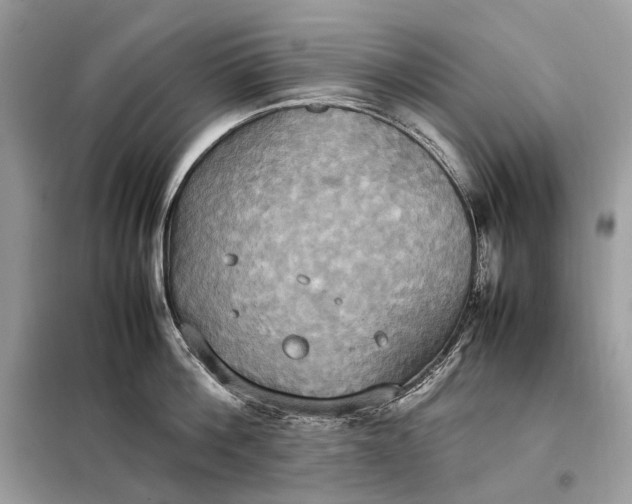 X0000099230812200805081556