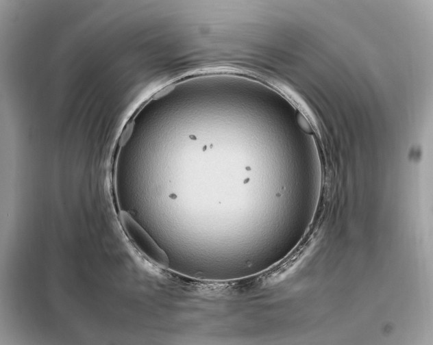 X0000099230813200805081556