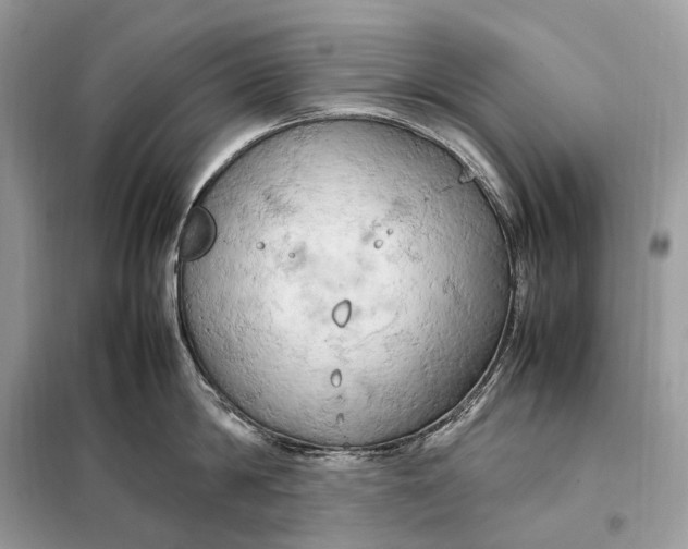 X0000099230814200805081556