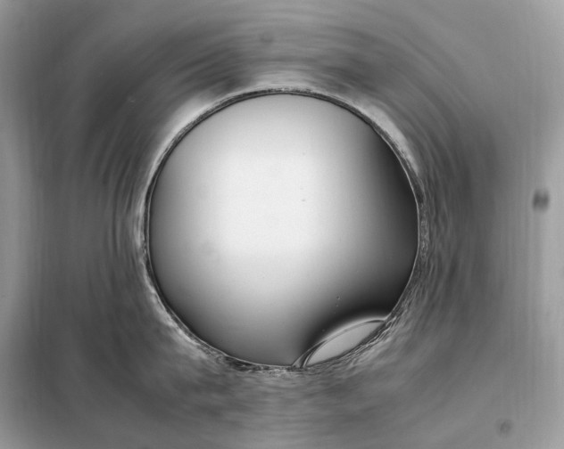 X0000099230815200805081556