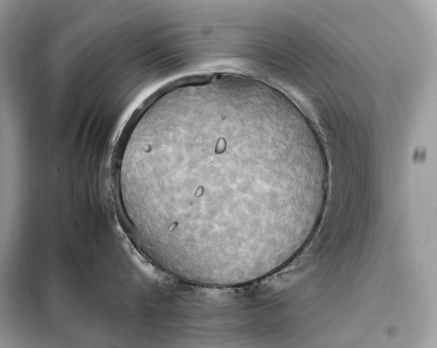 X0000099230816200805081556