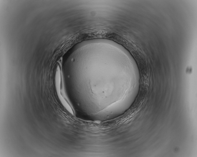 X0000099230818200805081555