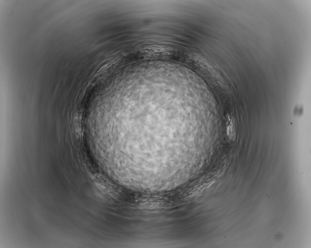 X0000099230819200805081555