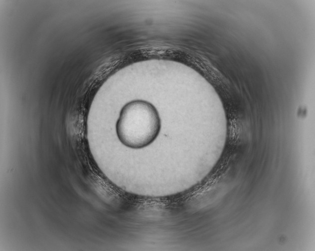 X0000099230820200805081555