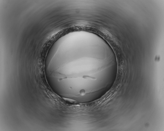 X0000099230822200805081555