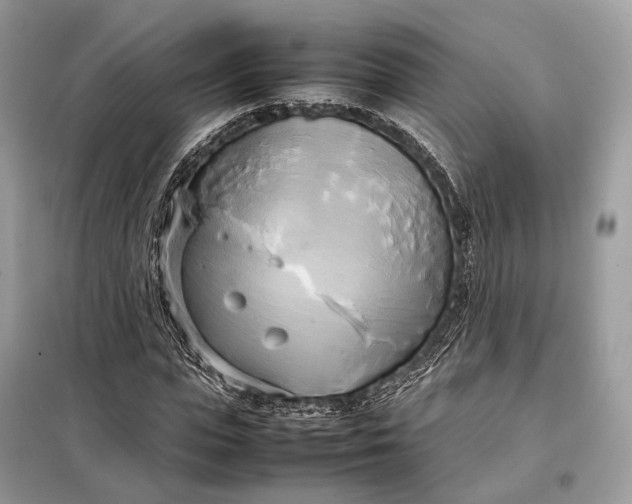 X0000099230823200805081555