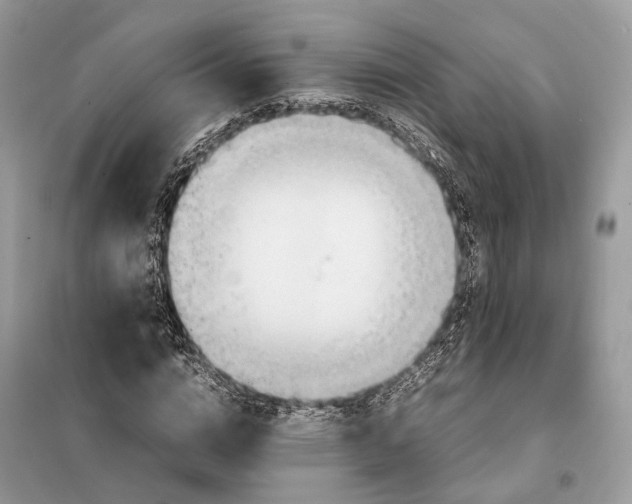 X0000099230824200805081555