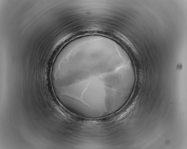 X0000099230826200805081555