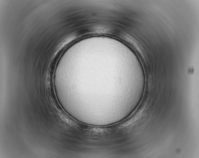 X0000099230827200805081555