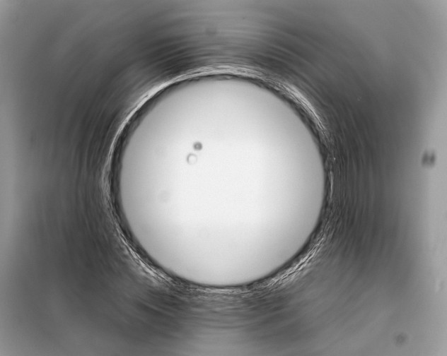 X0000099230828200805081555