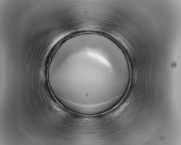 X0000099230830200805081555