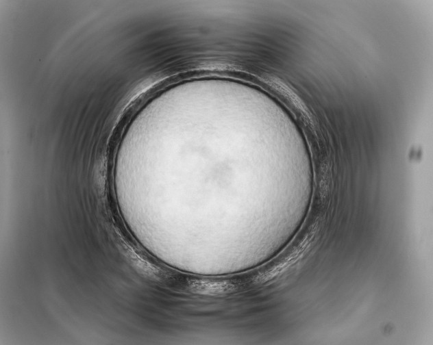 X0000099230831200805081555