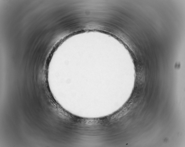 X0000099230832200805081555